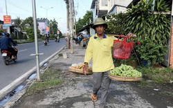 An Giang: Gánh rau quả đặc sản Bảy Núi xuống phố bán đắt hàng