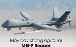 Infographic: UAV MQ-9, ‘ác điểu bầu trời’ và khúc bi tráng tại Trung Đông