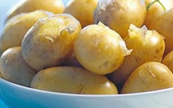 Cực kì lạ: Giống khoai tây nấu lên có vị… hạt dẻ, giá lên tới 260 nghìn/kg