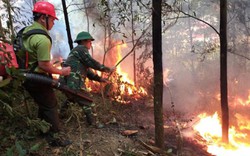 Nâng cao khả năng sẵn sàng  chiến đấu với “giặc lửa”