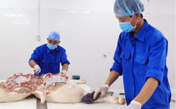 Nhập khẩu thịt lợn dịp cuối năm: Cần cân đối hài hòa lợi ích