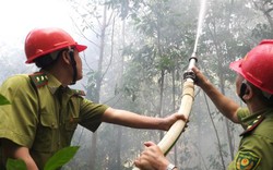 CLIP: Diễn tập chữa cháy rừng lớn nhất từ trước đến nay