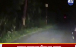 Video: Lái xe máy trong đêm tối, bị sát thủ săn mồi lao tới vồ