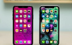 iOS 14 trên iPhone 12 đang được phát triển, iFan mong chờ