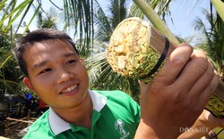 Nghề cực lạ Việt Nam: Massage hoa dừa để kích thích chảy...mật