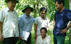Quảng Nam chung tay bảo vệ rừng
