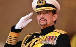 Quốc vương Brunei từng lái chuyên cơ sang cỡ nào đến Việt Nam?