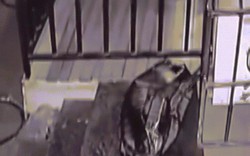Video:Người đàn ông TQ vứt túi đen bên đường, chiếc túi động đậy và điều đau lòng đằng sau
