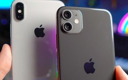 Đồng giá 12 triệu nên chọn iPhone 11 lock hay iPhone X?