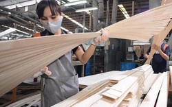 Hiến kế để xuất khẩu gỗ Việt Nam đạt con số 18-20 tỷ USD