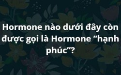 Chỉ người sở hữu “siêu trí tuệ” mới trả lời đúng hết những câu hỏi này