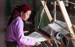 Hà Giang: Phụ nữ dân tộc thiểu số thoát nghèo nhờ nghề dệt lanh