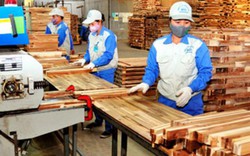 XK 10 tỷ USD, nhưng chỉ 5% nhân lực ngành gỗ có trình độ... đại học