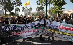 Thái Lan nới lỏng lệnh cấm đối với 3 hoạt chất thuốc trừ cỏ