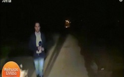 Video: Đang phát sóng trực tiếp, phóng viên bị lợn cái truy đuổi đến cùng, không cách nào thoát