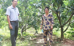 Nhân rộng vườn cây trái cuối nguồn sông Ba Lai