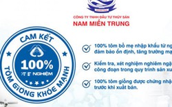 100% tôm giống Nam Miền Trung được xét nghiệm khỏe mạnh