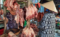 Dịch tả lợn phức tạp, khuyến cáo nông dân ĐBSCL chưa vội tái đàn