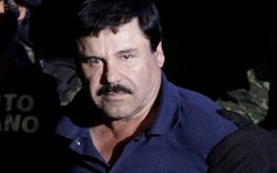 Trùm ma túy El Chapo từng “trả lương” cho cả bộ máy chính quyền Mexico?