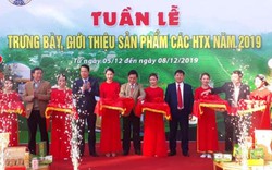 Đã mắt ngắm các sản phẩm nông nghiệp độc đáo của Liên minh các HTX