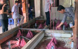 Tiền Giang: Có của ăn của để nhờ nuôi lươn đẻ bán con giống