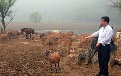 Nông dân xuất sắc và những điều gửi tới Thủ tướng