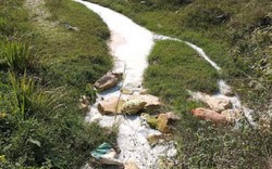 Nghệ An: Xưởng đá trên đất gia đình cán bộ huyện “bức tử” môi trường