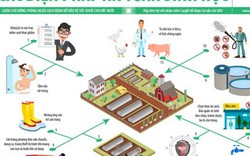 Infograffic: Phòng ngừa dịch tả lợn châu Phi như thế nào?