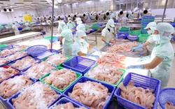 HACCP hay sự chuyên nghiệp trong đảm bảo an toàn thực phẩm