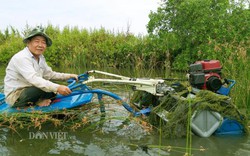 Máy cày siêu rẻ chạy dưới nước của “kỹ sư vườn” mới học hết lớp 4