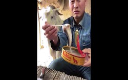 Chàng trai chăn dê với loạt clip "ăn cả thế giới" gây sốt