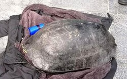 Ly kỳ chuyện tìm được người thân mất tích 5 năm sau vụ bế rùa “khủng” ở Hồ Gươm lên bờ