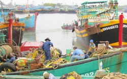 Thông tư 22 hướng đến xây dựng một nghề cá có trách nhiệm, bền vững