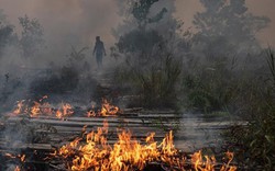 Clip: Cháy rừng ở Amazon vào top ảnh ấn tượng về khủng hoảng khí hậu
