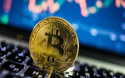 Tương lai Bitcoin: Đạt mức giá cao nhất trong năm tới và “tốt hơn vàng”?