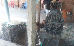 Bình Thuận: Ớn lạnh "đột nhập" lò xẻ thịt chim trời, cả "chim tiền tỷ"