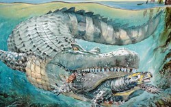 Tiết lộ về loài cá sấu khổng lồ dài 8m, nặng như voi