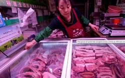 Chuyện lạ Trung Quốc: Xếp hàng gửi tiền ngân hàng vì...thịt lợn