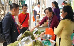 Đặc sản xứ dừa ra mắt người Sài Gòn tại Hội chợ sản phẩm OCOP
