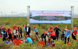 Khởi động dự án FMCR: Trồng mới 9.000ha rừng phòng hộ ven biển