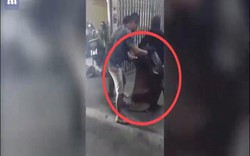 Video: Chật vật bắt trăn "khủng" 4,8m mò vào nhà ăn thịt mèo