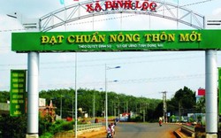 Hơn 52% số xã cả nước đạt chuẩn nông thôn mới