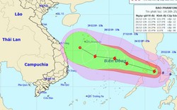 Mới nhất: Cơn bão số 8 Phanfone đã vào Biển Đông, vẫn giật cấp 14