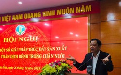 Bộ trưởng NNPTNT: Giá lợn hơi tăng cao, dân muốn nuôi to như con bò