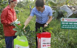 Hưng Yên: Mời nông dân giỏi “cầm tay chỉ việc” dạy nghề