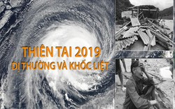 Thiên tai năm 2019: Dị thường và khốc liệt