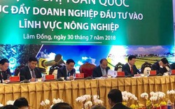 Bộ NN&PTNT đẩy mạnh “3 đồng hành, 5 hỗ trợ”