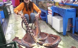 Thiếu nữ xinh đẹp "vật lộn" sơ chế bạch tuộc khổng lồ nặng 13kg