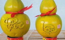 Hô biến trái dừa thành hình hồ lô, giá 1,2 triệu/cặp tranh nhau mua