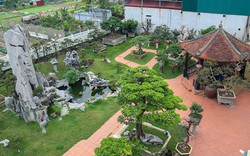 Khu vườn trồng toàn cây "khủng" và lâu năm của đại gia Hà Nội